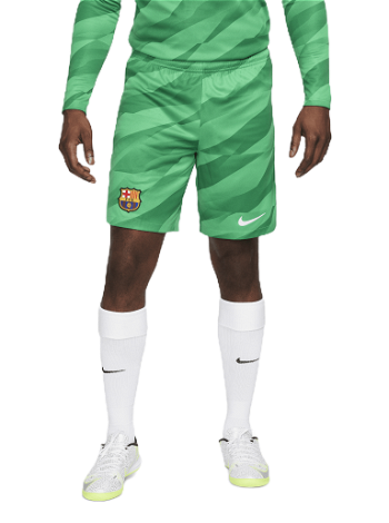 Nike Dri-FIT FC Barcelona 2023/24 Stadium Goalkeeper Shorts DX2708-324