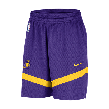 Nike Dri-FIT NBA Los Angeles Lakers Icon DZ3722-504