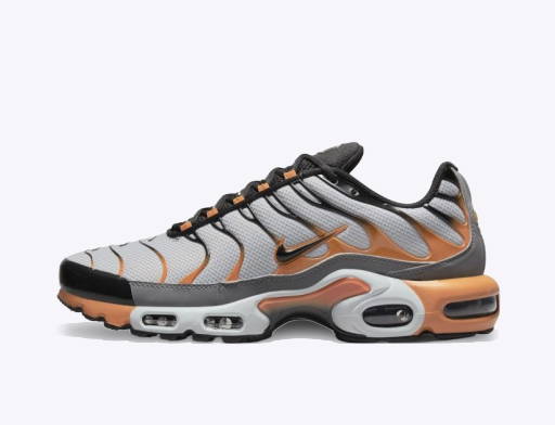 Nike Air Max Plus 3 Air Max Month DR8602-001 - TDD