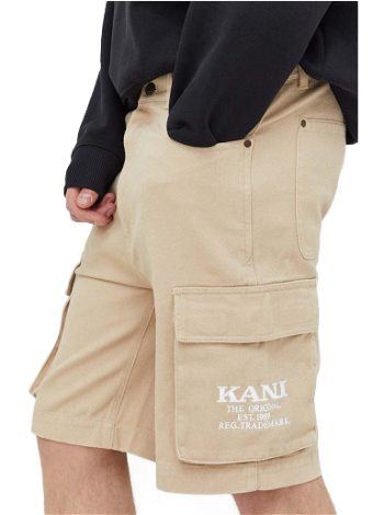 Karl Kani Small Signature Pinstripe Mesh Shorts 6013496