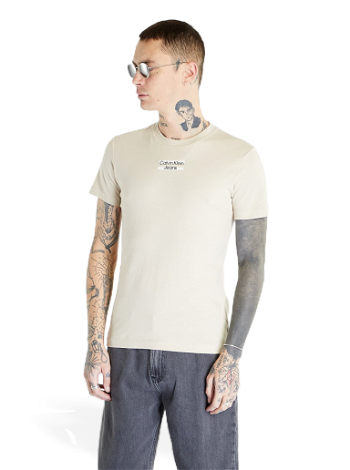 CALVIN KLEIN Transparent Stripe T-Shirt J30J322872 ACI