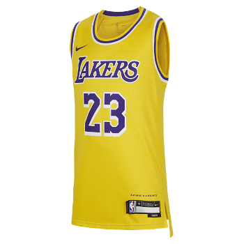 Nike NBA Swingman LeBron James Los Angeles Lakers 2023/24 FZ8625-728
