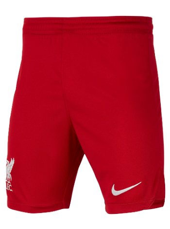 Nike Dri-FIT Liverpool FC 2023/24 Shorts dx2788-687