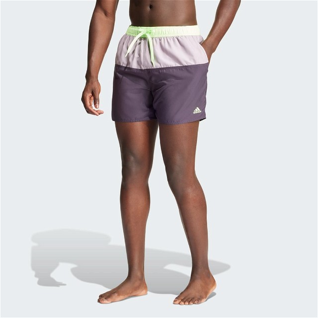 Sportswear Colorblock CLX Swim Shorts