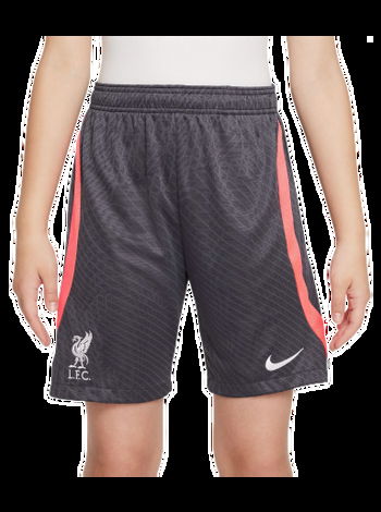 Nike Liverpool FC Strike fn7402-015