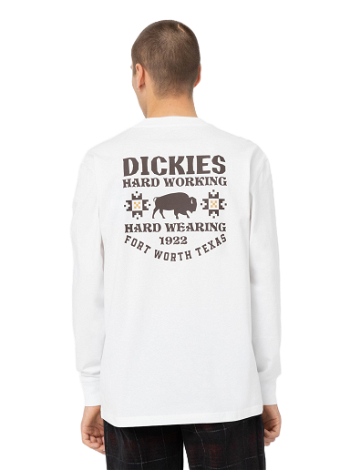Dickies Hays T-Shirt 0A4YGF