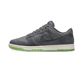 Nike Dunk Low "Iron Grey" DQ7681-001