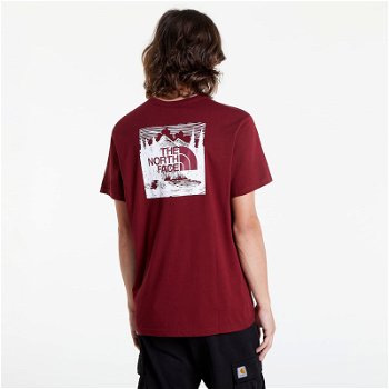 The North Face Redbox Celebration Tee NF0A7X1K6R31
