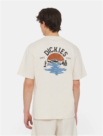 Dickies Beach T-Shirt 0A4YRD