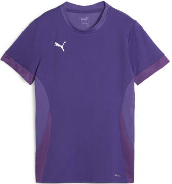 Puma teamGOAL Matchday Jersey Wmns 705749-10