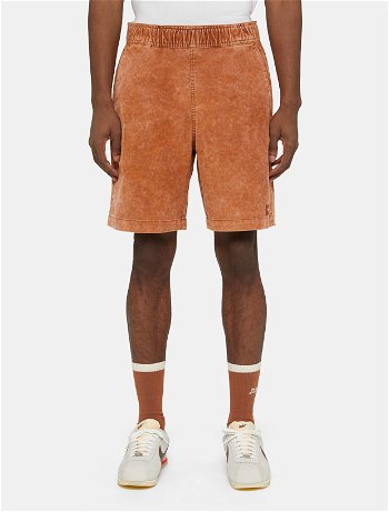 Dickies Chase City Shorts 0A4YSZ