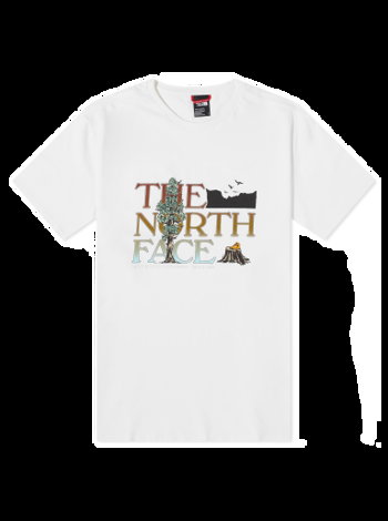 The North Face Graphic T-Shirt NF0A7X1ON3N