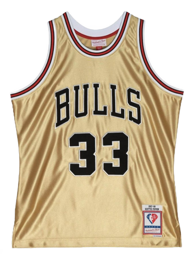 Chicago Bulls Scottie Pippen 75th Swingman Jersey