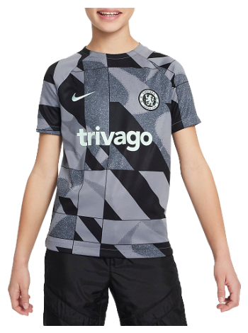 Nike Dri-FIT Chelsea FC 2023/24 dz1351-066